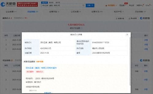 深圳正威集团新增一则被执行人信息,执行标的4243万余元